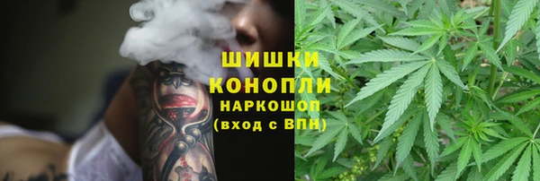 дживик Баксан