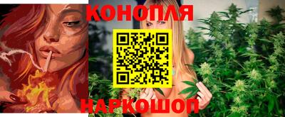 гидропоника Анапа